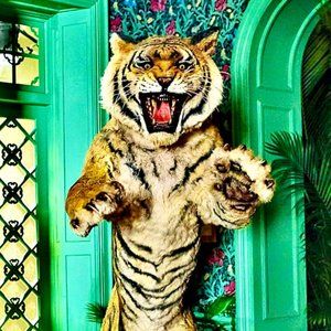 Hello Mr. Harrymau!!!